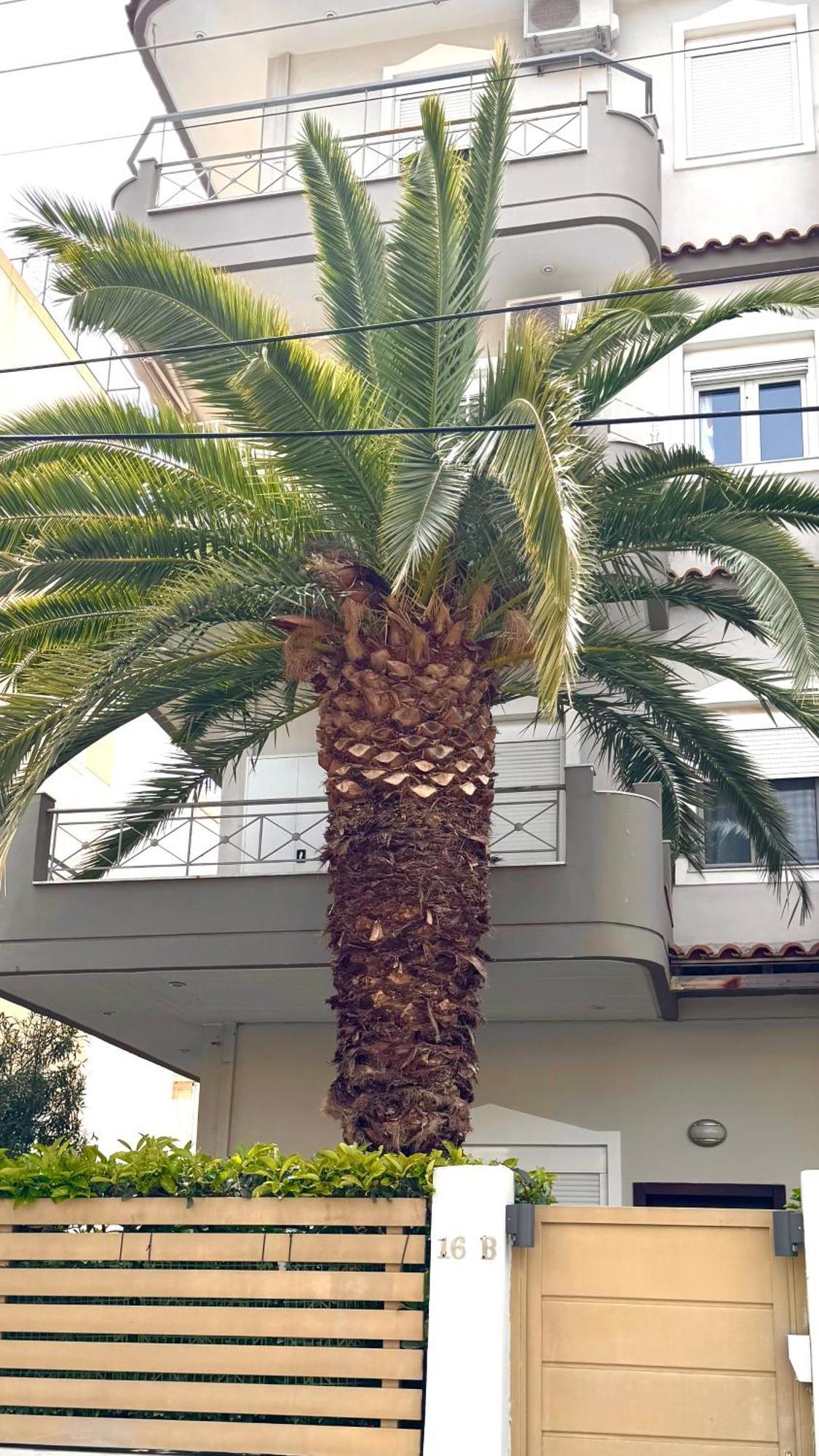 Elegant Glyfada Apartment-Private Garden-Near Metro Atenas Exterior foto